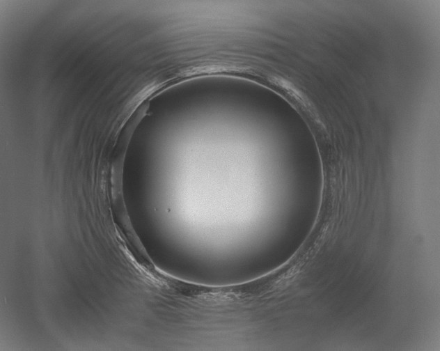 X0000052921185200507151542