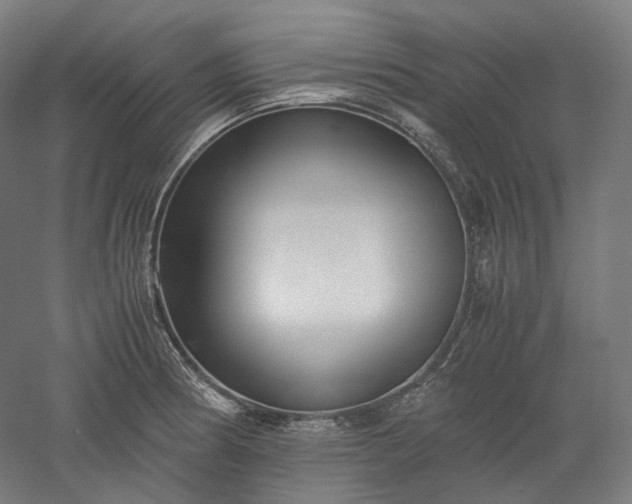 X0000052921186200507151542