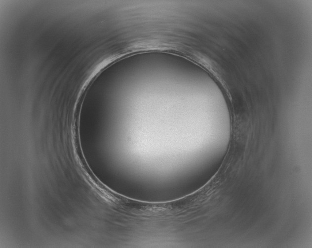 X0000052921187200507151542