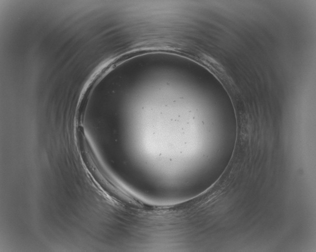 X0000052921188200507151542