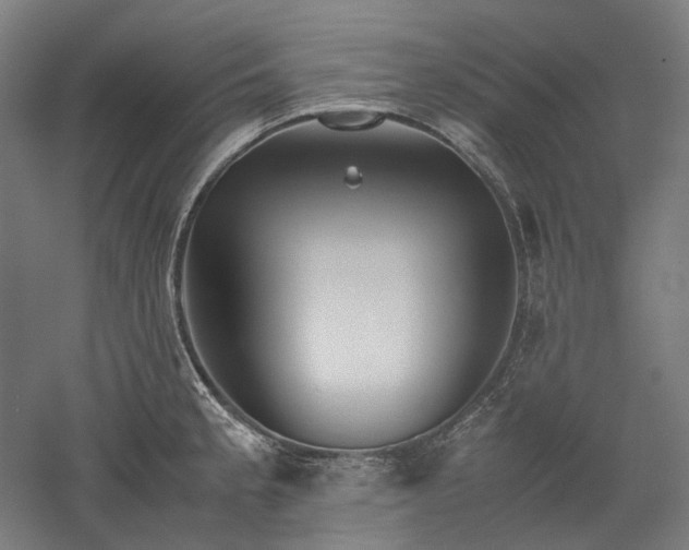 X0000052921189200507151542