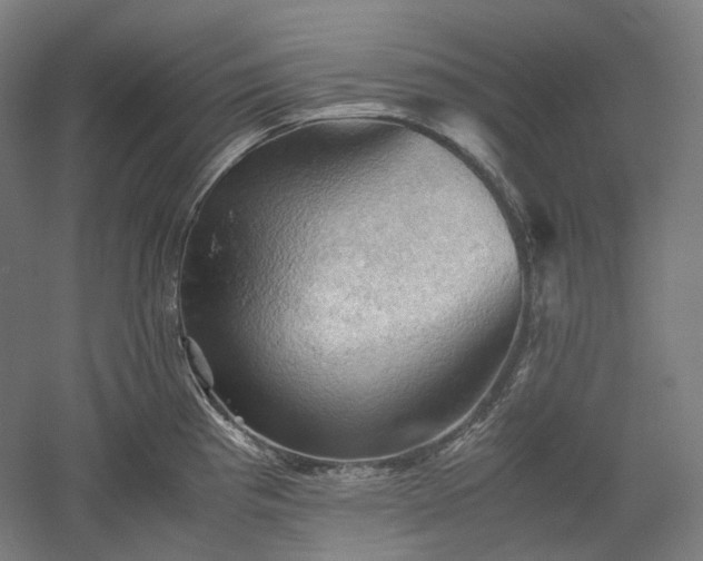 X0000052921193200507151542