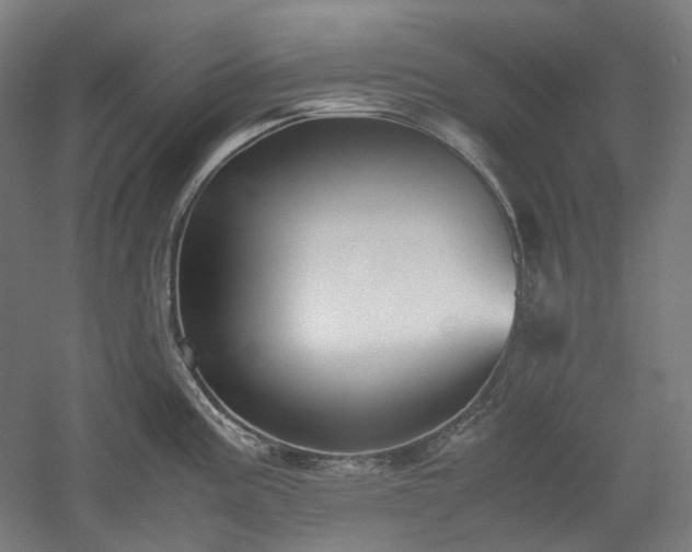 X0000052921195200507151542