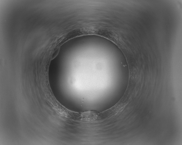 X0000052921201200507151541