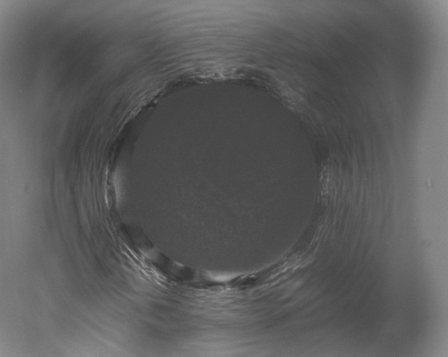 X0000052921202200507151541