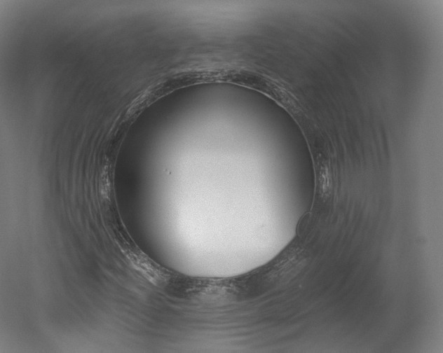 X0000052921204200507151541