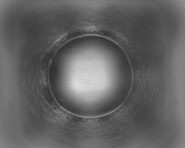 X0000052921205200507151541
