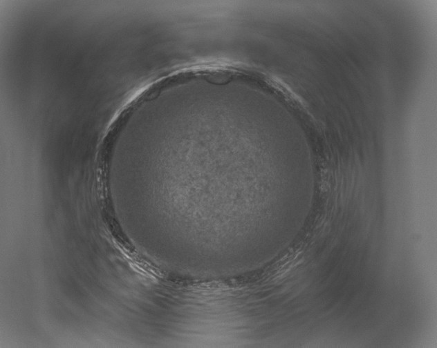 X0000052921208200507151541