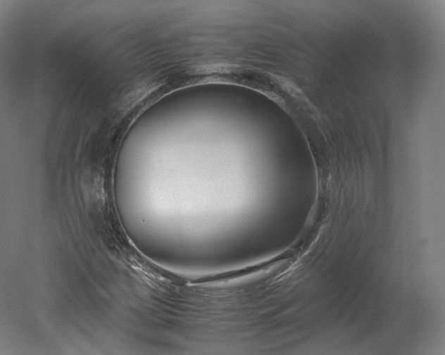 X0000052921209200507151541