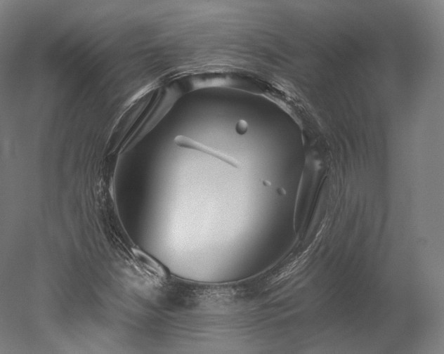 X0000052921210200507151541