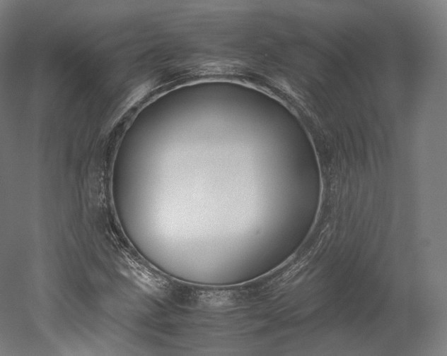 X0000052921211200507151541