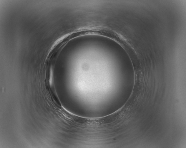 X0000052921214200507151542