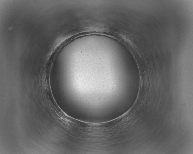 X0000052921215200507151542