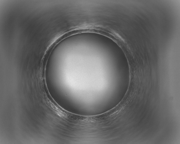 X0000052921216200507151542