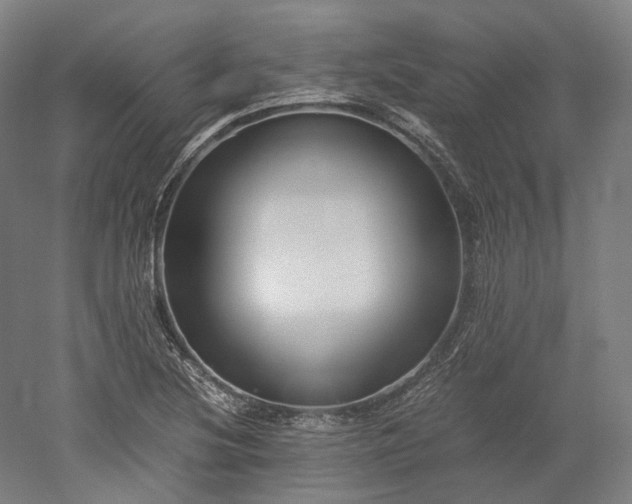 X0000052921220200507151542