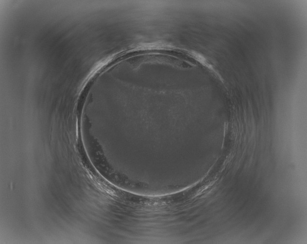 X0000052921221200507151542