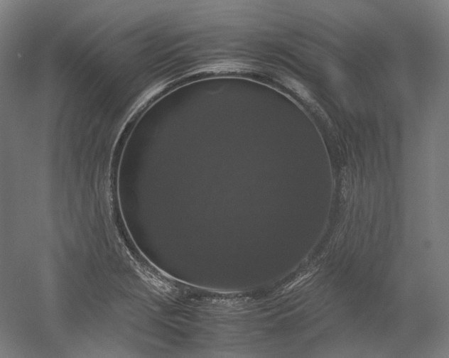 X0000052921229200507151542