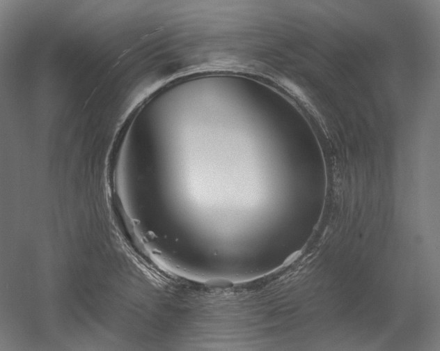 X0000052921230200507151542