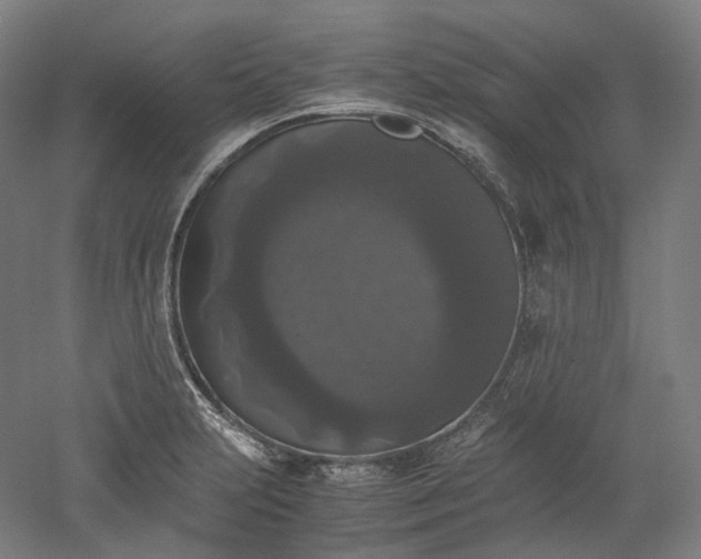 X0000052921231200507151542
