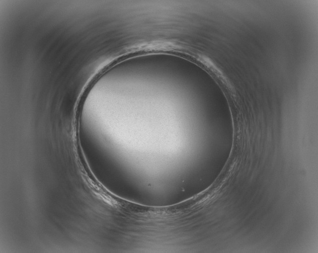 X0000052921232200507151542