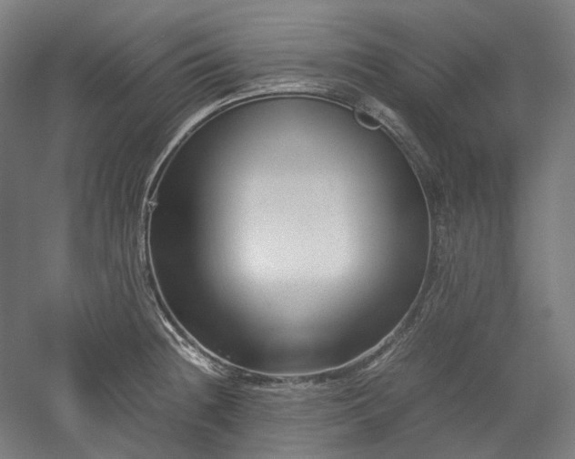 X0000052921236200507151542