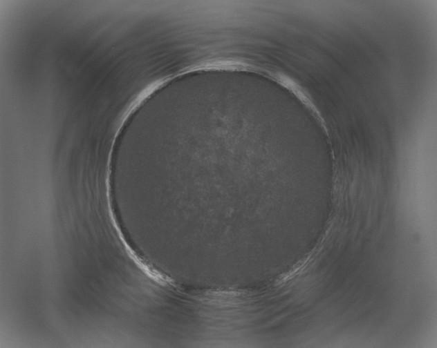 X0000052921237200507151542