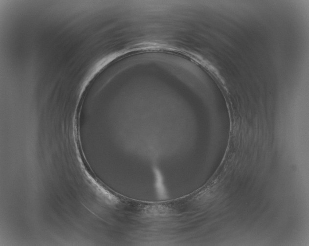 X0000052921239200507151542