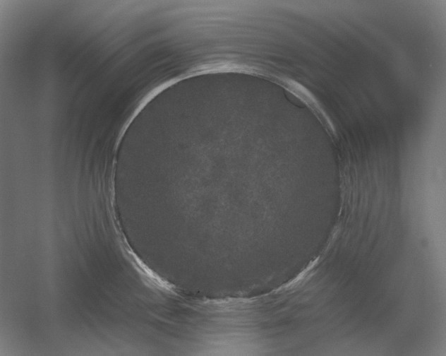 X0000052921244200507151542