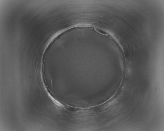 X0000052921245200507151542