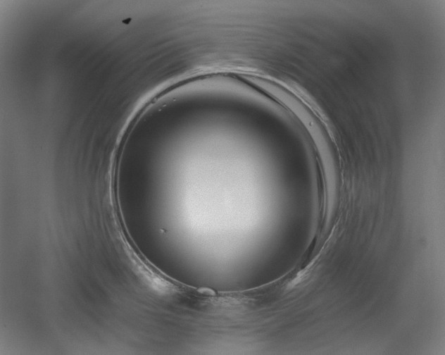 X0000052921246200507151542