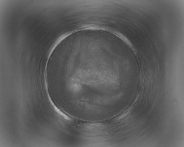 X0000052921247200507151542