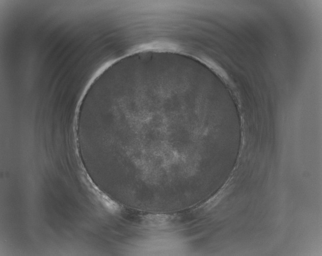 X0000052921248200507151542