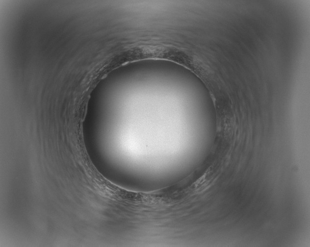 X0000052921249200507151541