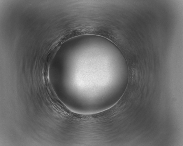 X0000052921250200507151541