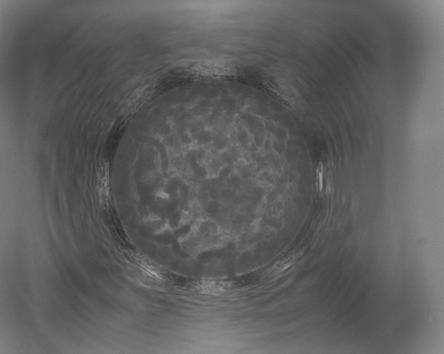 X0000052921251200507151541