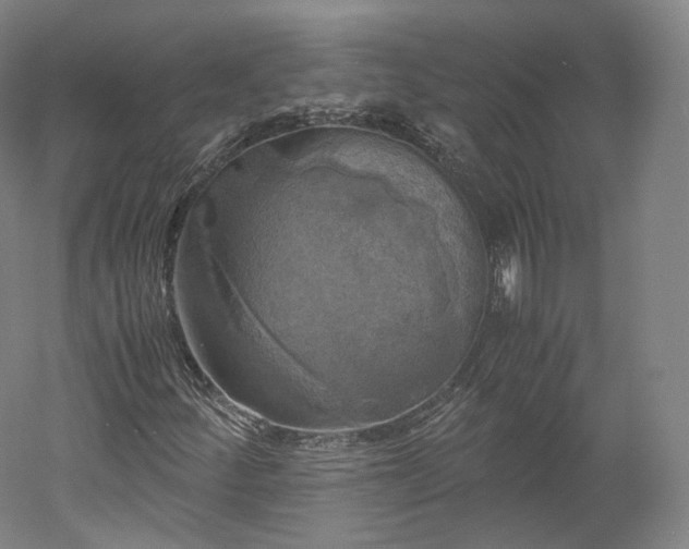 X0000052921252200507151541