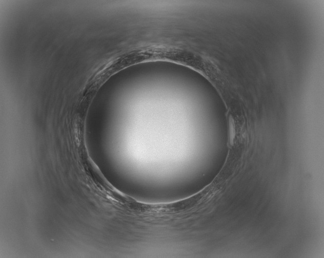 X0000052921253200507151541