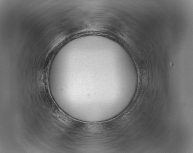 X0000052921258200507151541