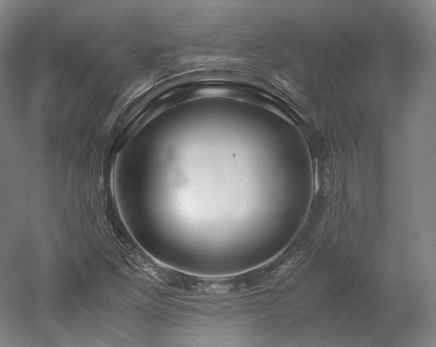 X0000052921261200507151541