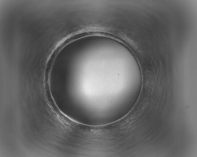 X0000052921264200507151541