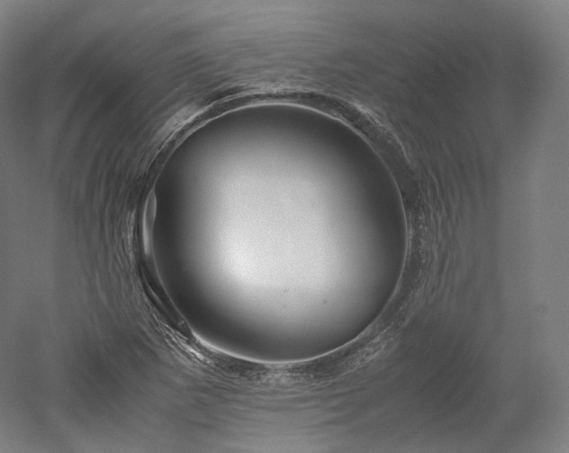 X0000052921265200507151541