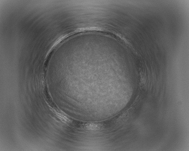 X0000052921266200507151541