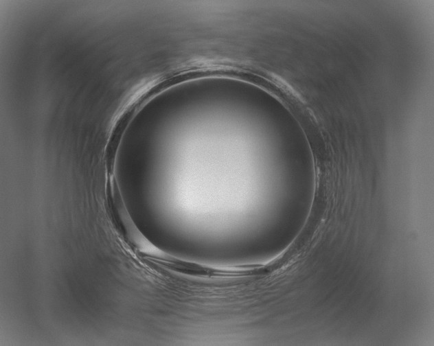 X0000052921269200507151541