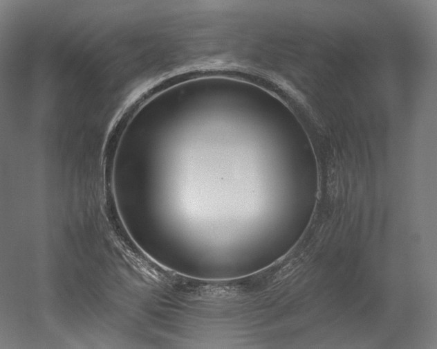 X0000052921270200507151541