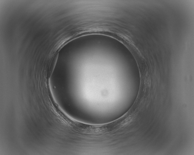 X0000052921273200507151541