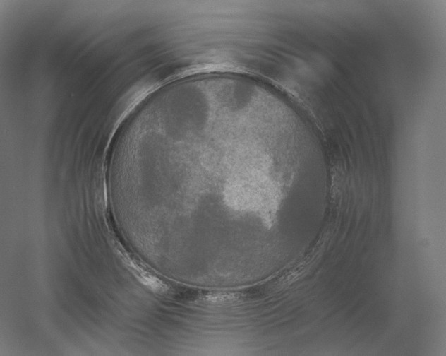X0000052921274200507151541