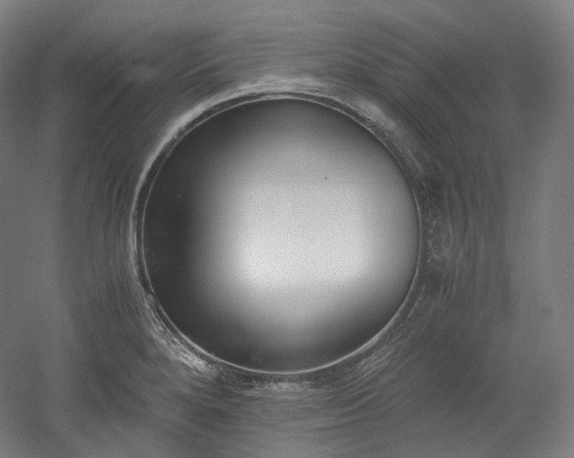 X0000052921280200507151541