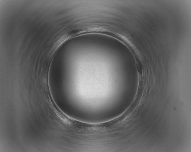 X0000052921281200507151541