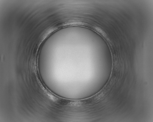 X0000052921282200507151541