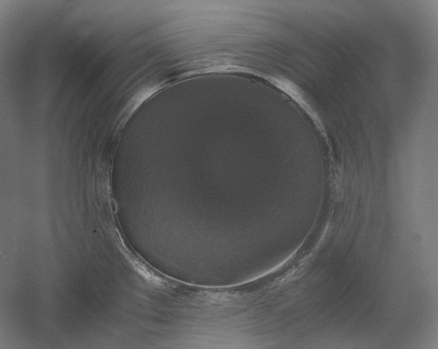 X0000052921289200507151541